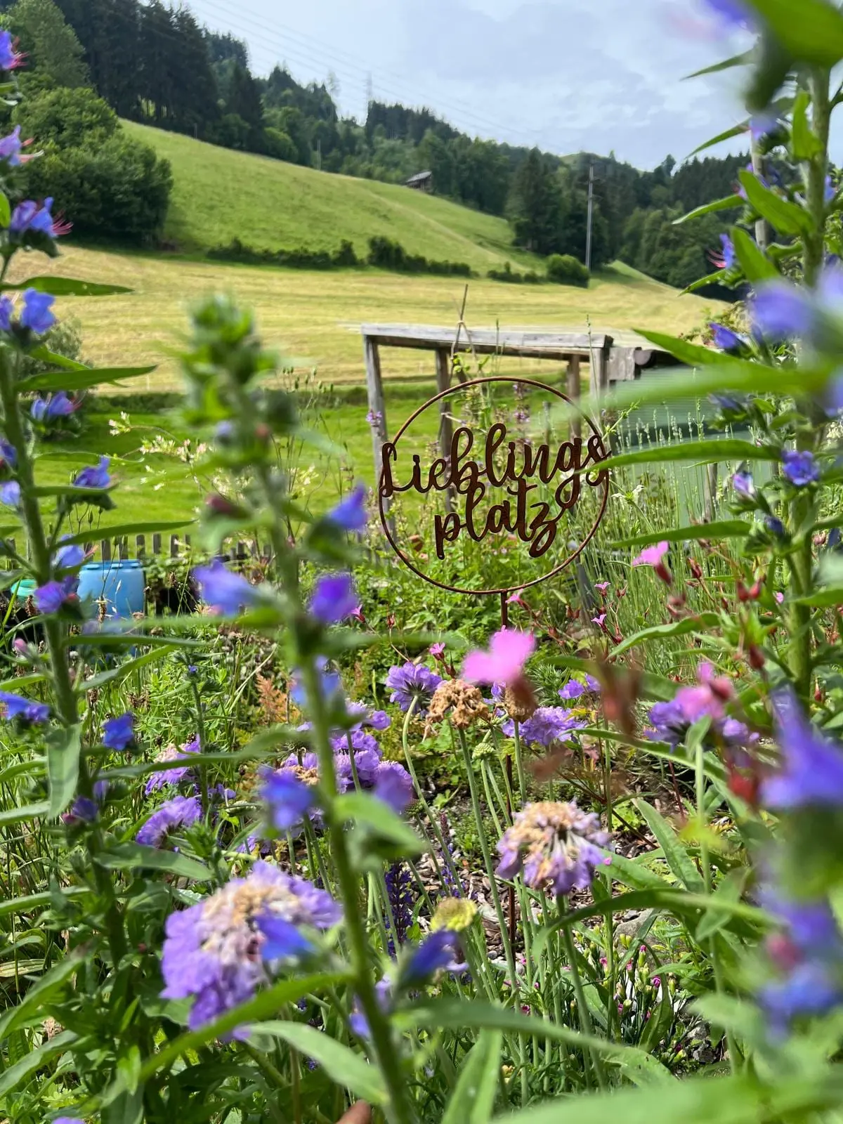 Gartenstecker «Lieblingsplatz» zwischen Natternkopf und Wildblumen