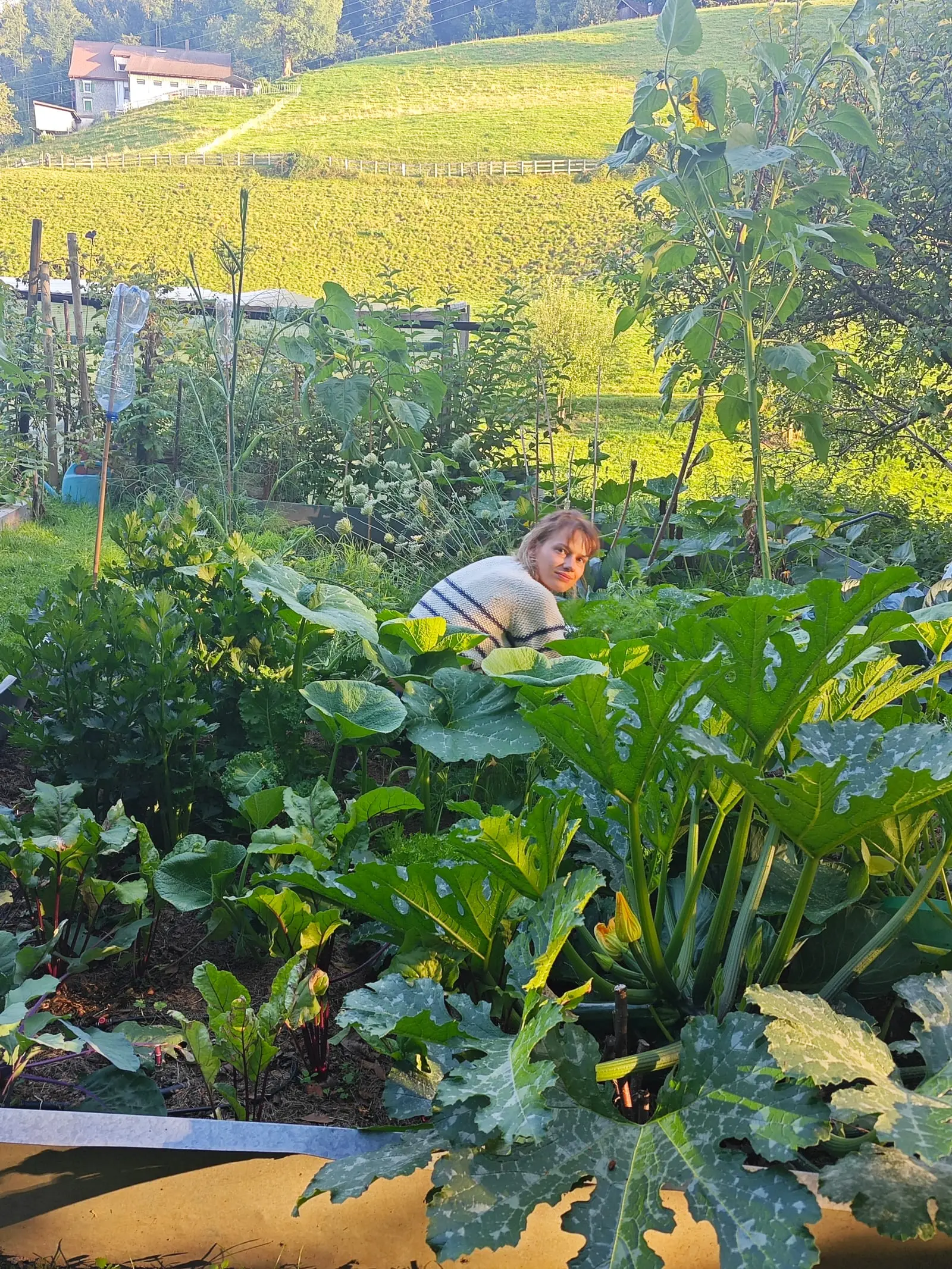 Muriel in ihrem Garten in Bühler, zwischen Zucchini und Krautstiel